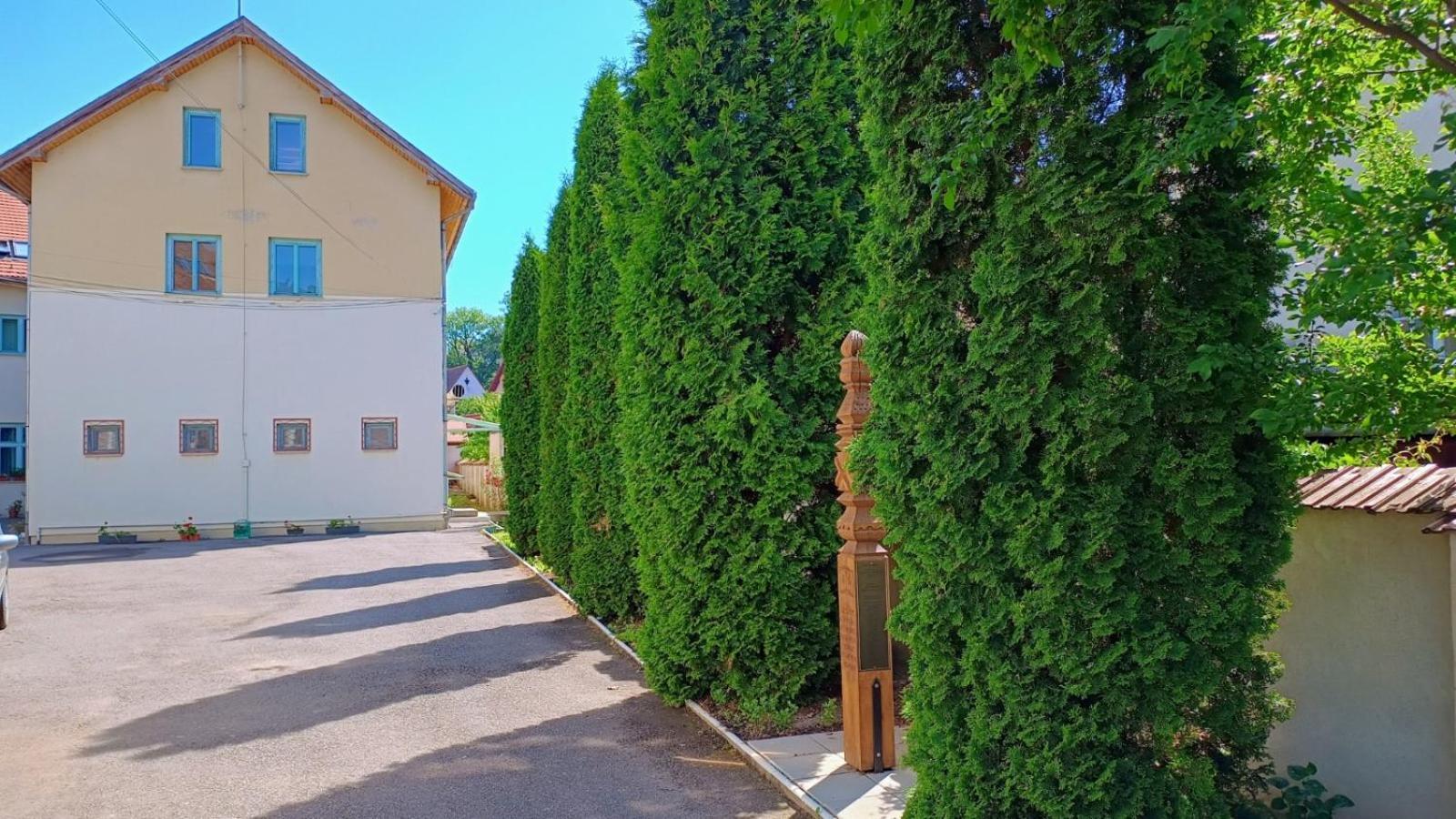 Centrul Gaudeamus Hostel Σιγκισοάρα Εξωτερικό φωτογραφία